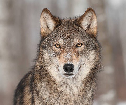 Places 4 Featured image