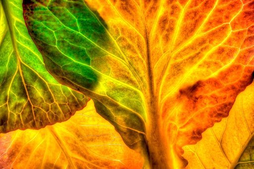 Places 3 Featured image