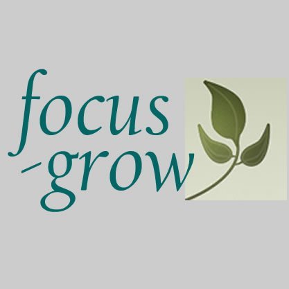 Bookkeeping Service San Francisco - Focus-Grow Bookkeeping 2 Featured image