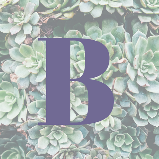 Bookkeeping Service Stevensville - Blaisdell Bookkeeping & Tax 1 Featured image